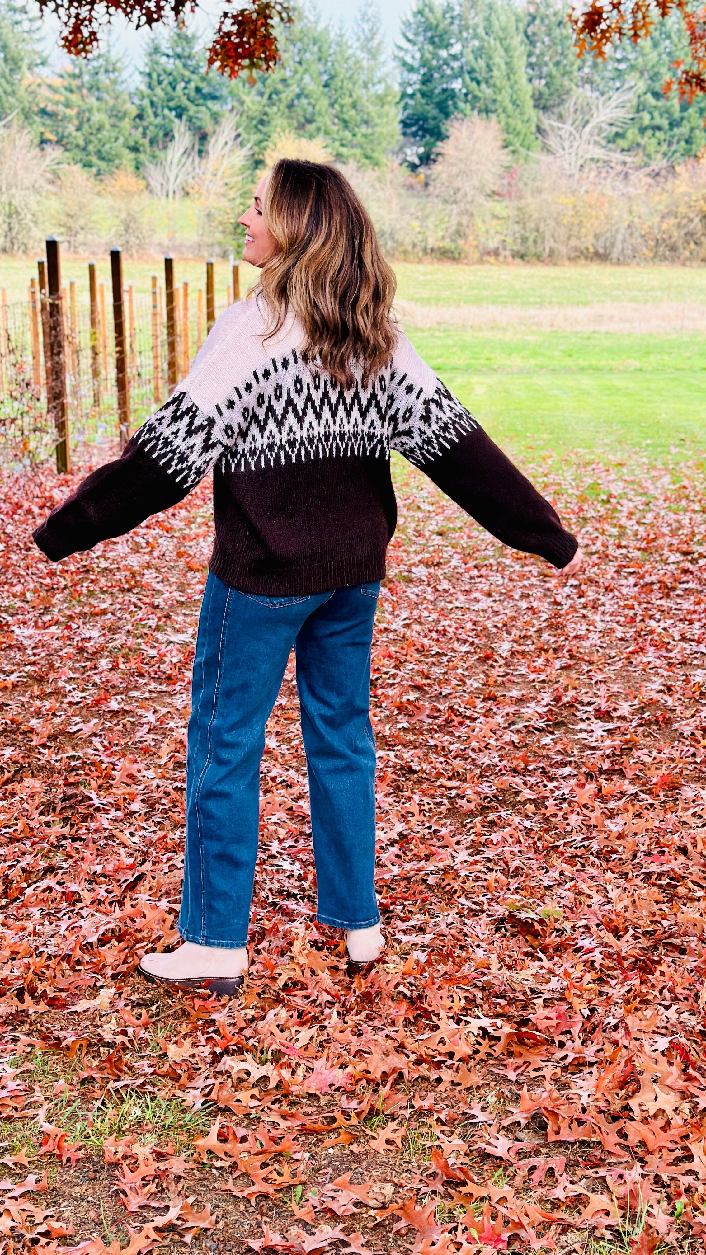 Aspen Trail Zipper Sweater-131 - Sweaters F/W (June - Nov)-Little Bird Boutique