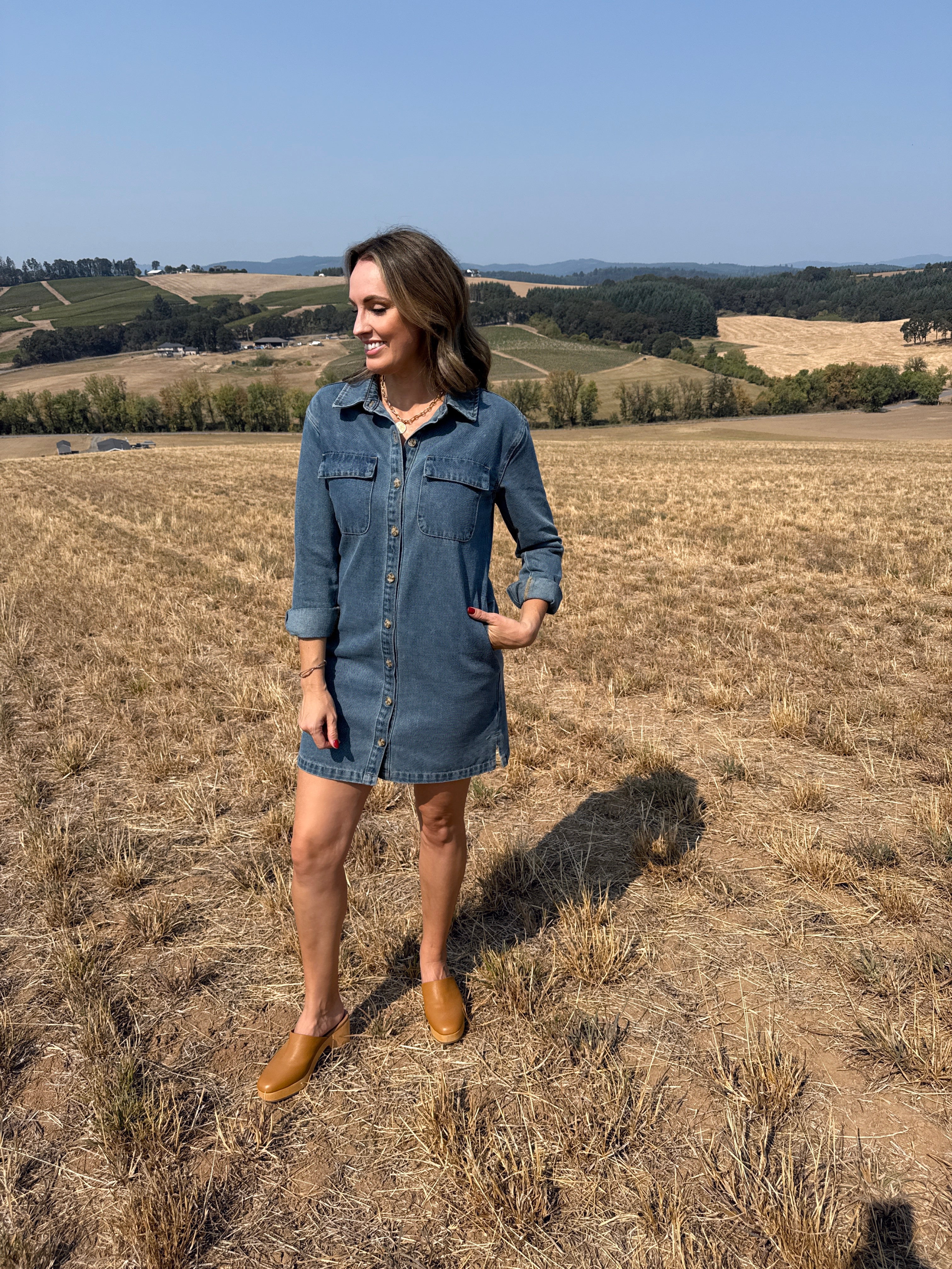 Thread and Supply Ivanna Dress in Grace Wash-151 Dresses - Short-Little Bird Boutique
