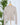 Z Supply Avery Sweater Top in Soft Ecru-121 - Jersey Tops F/W (June - Nov)-Little Bird Boutique