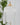 Z Supply Arlet Top in White-121 - Jersey Tops F/W (June - Nov)-Little Bird Boutique