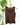 Daily Double Lined Tank in Brown-122 - Jersey Tops S/S (Dec - May)-Little Bird Boutique