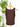 Daily Double Lined Tank in Brown-122 - Jersey Tops S/S (Dec - May)-Little Bird Boutique