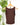 Daily Double Lined Tank in Brown-122 - Jersey Tops S/S (Dec - May)-Little Bird Boutique