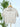 Bradford Pointelle Polo Sweater in Oatmeal-131 - Sweaters F/W (June - Nov)-Little Bird Boutique