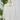 Beach Lunch Lounge Bells Shirt in White