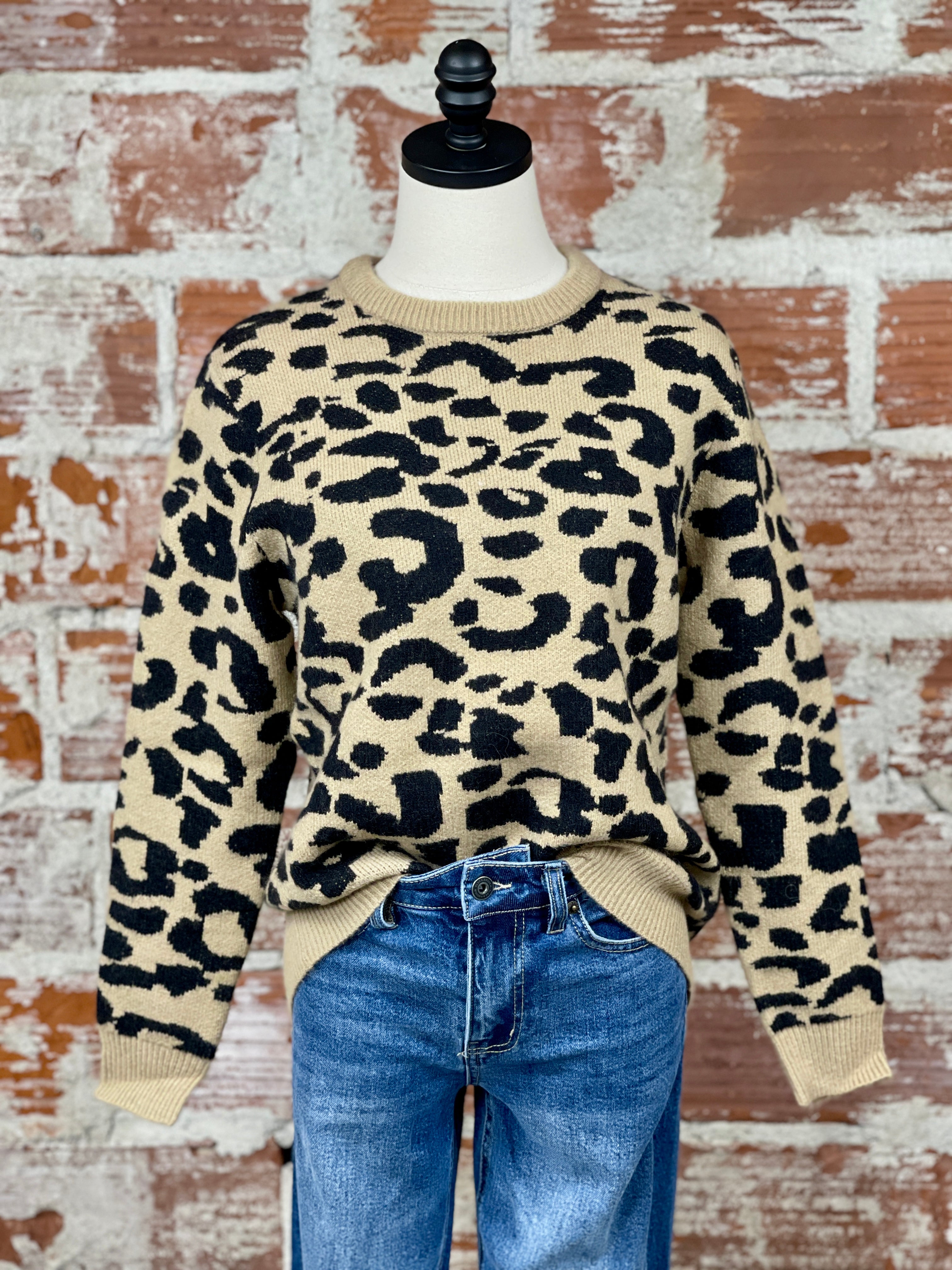 Leo Sweater in Beige and Black-131 - Sweaters F/W (June - Nov)-Little Bird Boutique