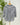 Jak and Rae Valencia top in Indigo Stripe-111 - Woven Top F/W (June- Nov)-Little Bird Boutique