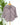 Jak and Rae Valencia top in Prune Stripe-111 - Woven Top F/W (June- Nov)-Little Bird Boutique