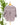 Jak and Rae Valencia top in Prune Stripe-111 - Woven Top F/W (June- Nov)-Little Bird Boutique
