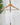 Nikibiki Textured Lace Cami in White-121 - Jersey Tops F/W (June - Nov)-Little Bird Boutique