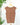 Z Supply Leisurely Tank in Palo Santo-122 - Jersey Tops S/S (Dec - May)-Little Bird Boutique