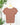 Z Supply Leisurely Tee in Palo Santo-122 - Jersey Tops S/S (Dec - May)-Little Bird Boutique