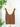 Z Supply Acadia Sweater Tank in Palo Santo-132 - Sweaters S/S (Dec - May)-Little Bird Boutique