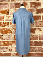 Riverton Denim Dress in Medium Wash-151 Dresses - Short-Little Bird Boutique