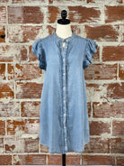 Collins Denim Dress-151 Dresses - Short-Little Bird Boutique