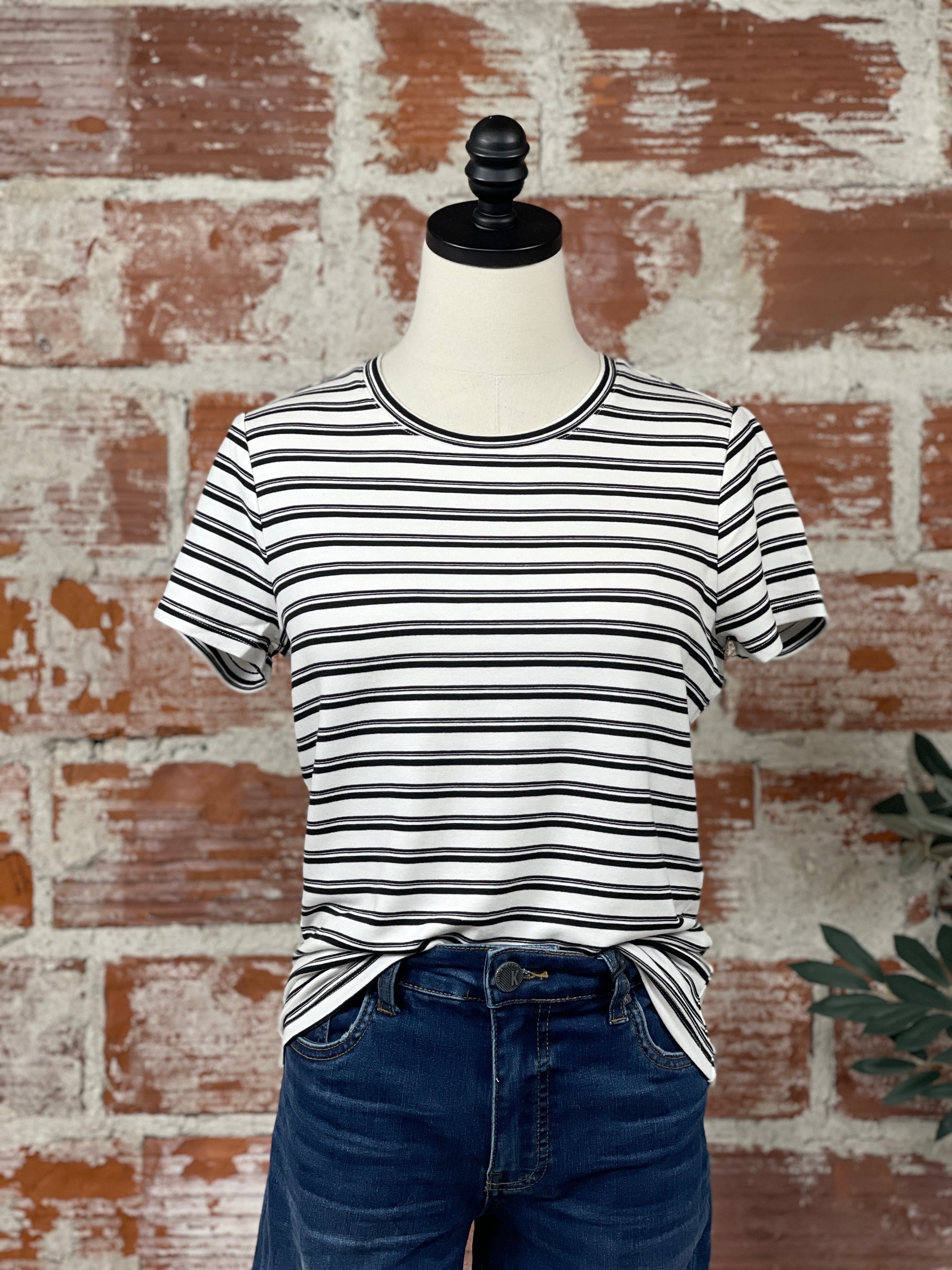 Liverpool Classic Knit Tee in Black and White Stripe-122 - Jersey Tops S/S (Dec - May)-Little Bird Boutique