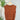 Storybook Sweater Vest in Terracotta-131 - Sweaters F/W (June - Nov)-Little Bird Boutique