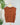 Storybook Sweater Vest in Terracotta-131 - Sweaters F/W (June - Nov)-Little Bird Boutique