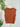 Storybook Sweater Vest in Terracotta-131 - Sweaters F/W (June - Nov)-Little Bird Boutique