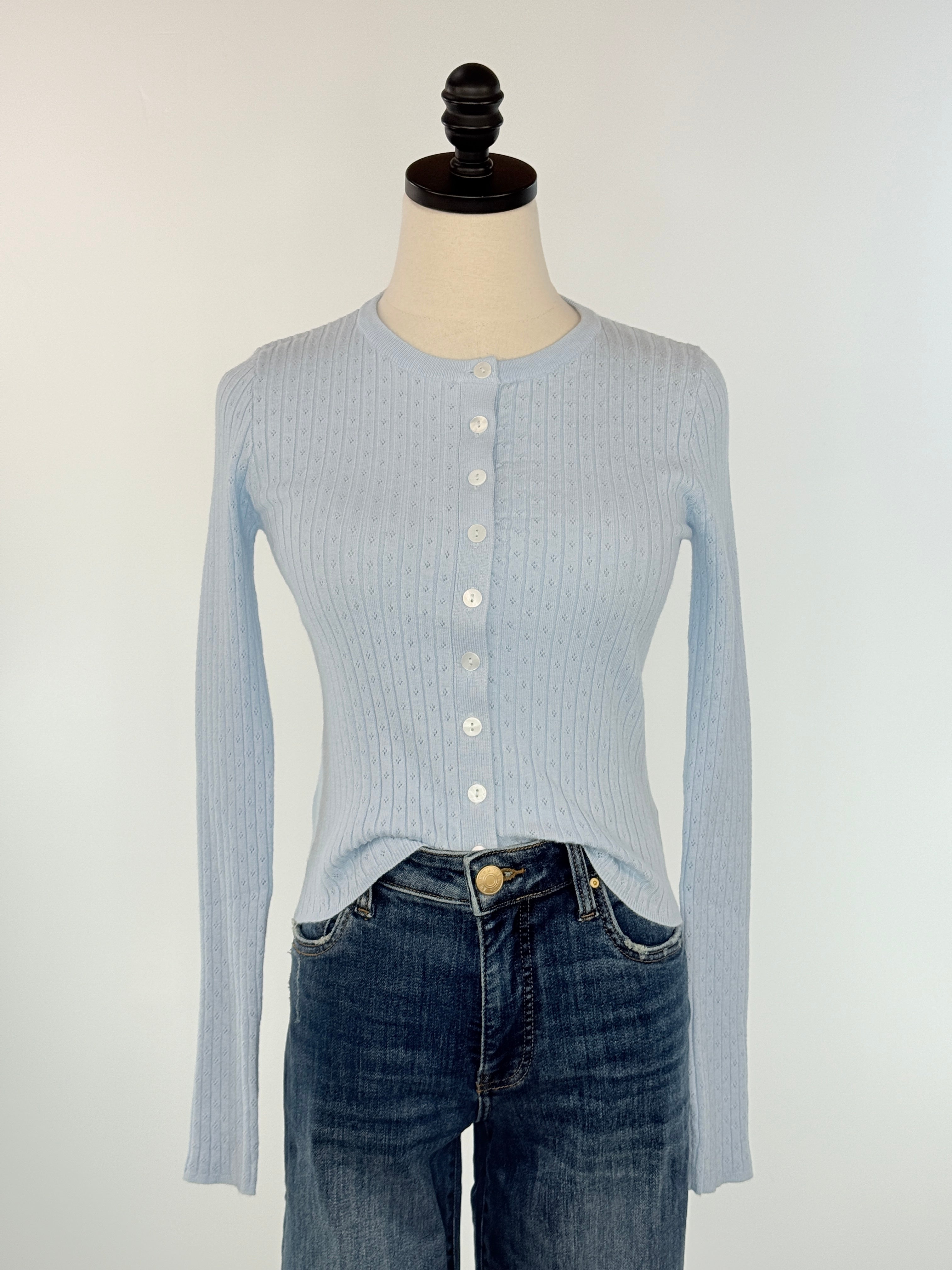 My Muse Cardigan in Powder Blue-131 - Sweaters F/W (June - Nov)-Little Bird Boutique