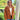 Dear John Winslow Jacket in Caramel-141 Outerwear Coats & Jackets-Little Bird Boutique