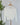 Heirloom Lace Button Cardigan in Ivory-132 - Sweaters S/S (Dec - May)-Little Bird Boutique