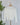 Heirloom Lace Button Cardigan in Ivory-132 - Sweaters S/S (Dec - May)-Little Bird Boutique