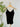 Nikibiki Clean Line V Neck Cami in Black-122 - Jersey Tops S/S (Dec - May)-Little Bird Boutique