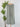 Wit & Wisdom Skyrise Wide Leg in Loden Green-220 Pants-Little Bird Boutique