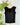 Liverpool Flutter Sleeve Top w/Ties in Black-112 - Woven Top S/S (Dec - May)-Little Bird Boutique