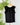 Liverpool Flutter Sleeve Top w/Ties in Black-112 - Woven Top S/S (Dec - May)-Little Bird Boutique