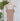 Perla Signature Second Skin Cami in Almond-122 - Jersey Tops S/S (Dec - May)-Little Bird Boutique