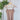 Perla Signature Second Skin Cami in Almond-122 - Jersey Tops S/S (Dec - May)-Little Bird Boutique