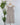 Thread and Supply Ying Dress in Mushroom-151 Dresses - Short-Little Bird Boutique