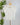 Jak & Rae Xander Optic White Shirt-Final Sale-112 - Woven Top S/S (Dec - May)-Little Bird Boutique