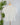 Jak & Rae Xander Optic White Shirt-Final Sale-112 - Woven Top S/S (Dec - May)-Little Bird Boutique