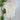 Lovestitch Indira Top in White-112 - Woven Top S/S (Dec - May)-Little Bird Boutique