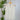 Lovestitch Lace Trim Top in White-Final Sale-112 - Woven Top S/S (Dec - May)-Little Bird Boutique