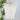 Z SUPPLY Camino Jersey Top in White-122 - Jersey Tops S/S (Dec - May)-Little Bird Boutique