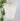Z SUPPLY Camino Jersey Top in White-122 - Jersey Tops S/S (Dec - May)-Little Bird Boutique