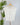 Z SUPPLY Camino Jersey Top in White-122 - Jersey Tops S/S (Dec - May)-Little Bird Boutique
