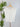 Z SUPPLY Camino Jersey Top in White-122 - Jersey Tops S/S (Dec - May)-Little Bird Boutique