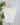 Z SUPPLY Camino Jersey Top in White-122 - Jersey Tops S/S (Dec - May)-Little Bird Boutique