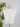 Z SUPPLY Camino Jersey Top in White-122 - Jersey Tops S/S (Dec - May)-Little Bird Boutique