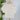 Z SUPPLY Ballast Crochet Sweater-132 - Sweaters S/S (Dec - May)-Little Bird Boutique
