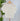 Z SUPPLY Ballast Crochet Sweater-132 - Sweaters S/S (Dec - May)-Little Bird Boutique