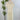 Floral Charm Midi Dress in Off White-Final Sale-152 Dresses - Long-Little Bird Boutique