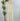 Floral Charm Midi Dress in Off White-Final Sale-152 Dresses - Long-Little Bird Boutique