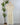 Floral Charm Midi Dress in Off White-Final Sale-152 Dresses - Long-Little Bird Boutique
