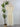Floral Charm Midi Dress in Off White-152 Dresses - Long-Little Bird Boutique